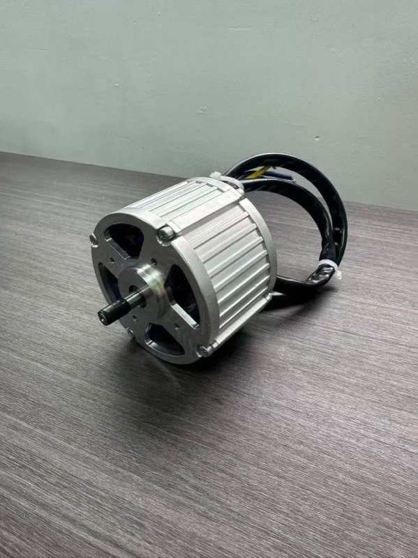 High-power aluminum housing BLDC motor for AGV traction